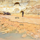 Matalascañas Beach, where the fossils were found (in the section labeled HTS.)